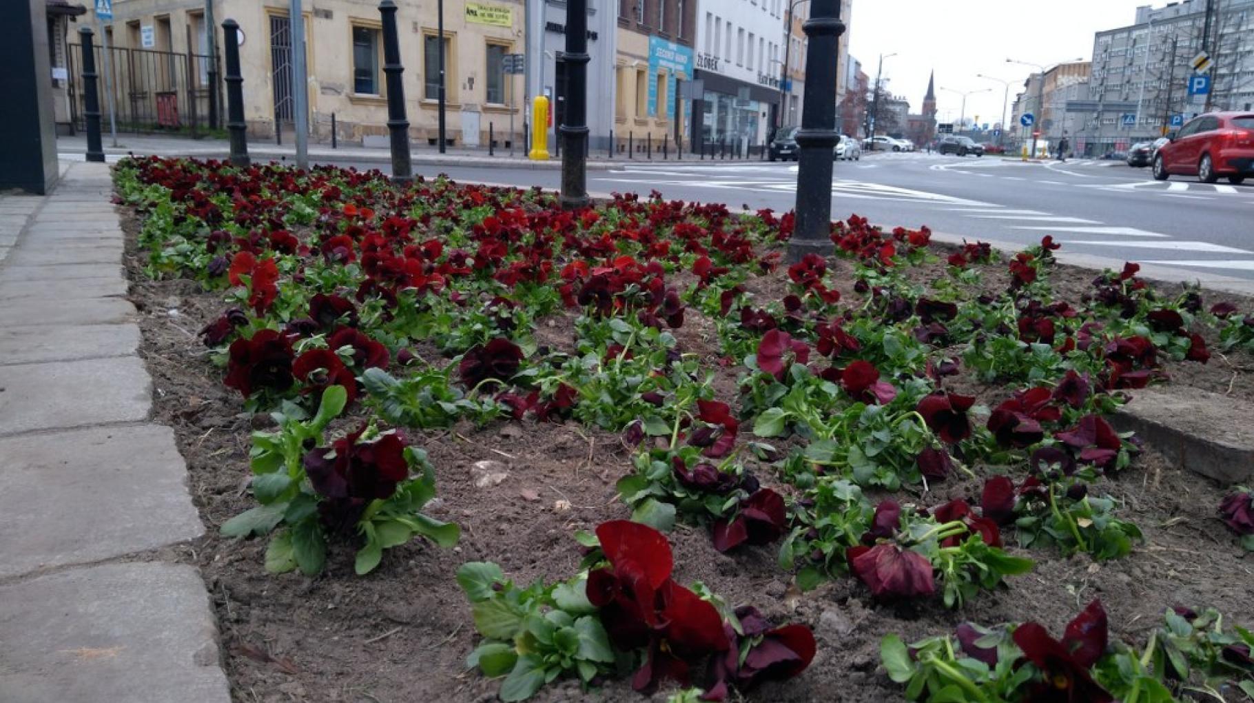 Wiosna w pasach drogowych