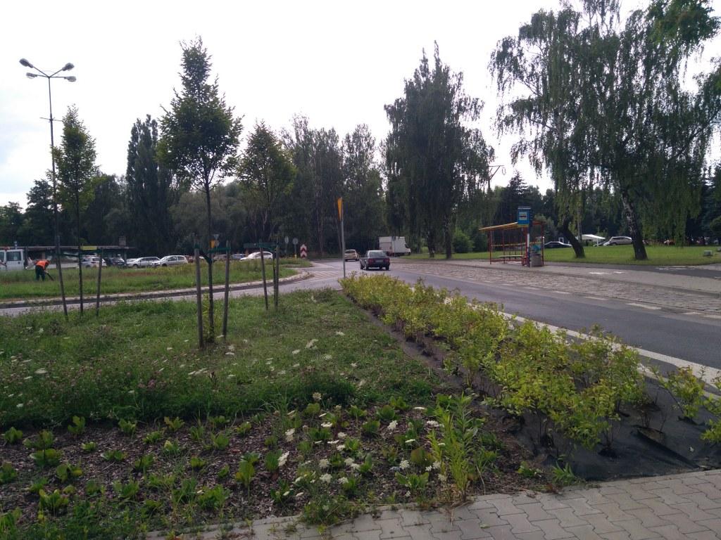 błonie
