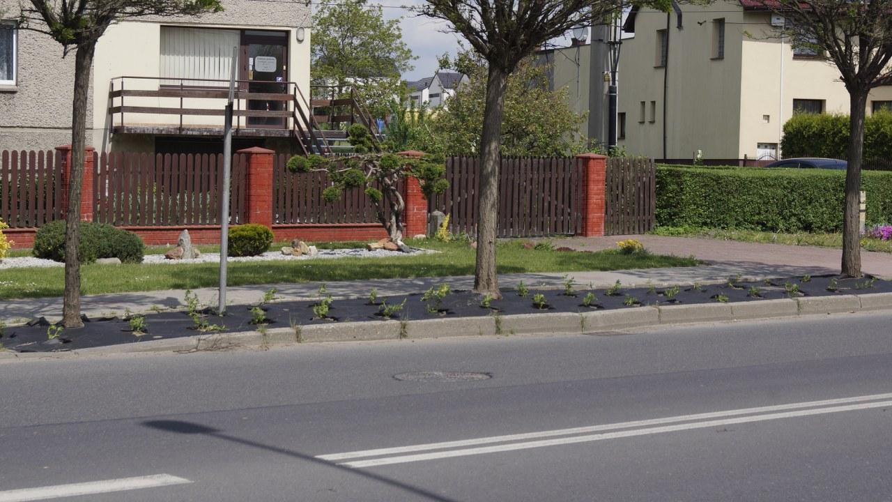 Daszynskiego