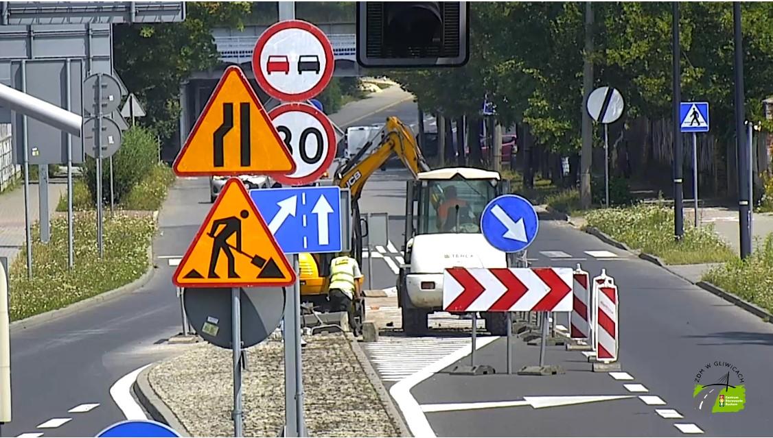 jana śliwki