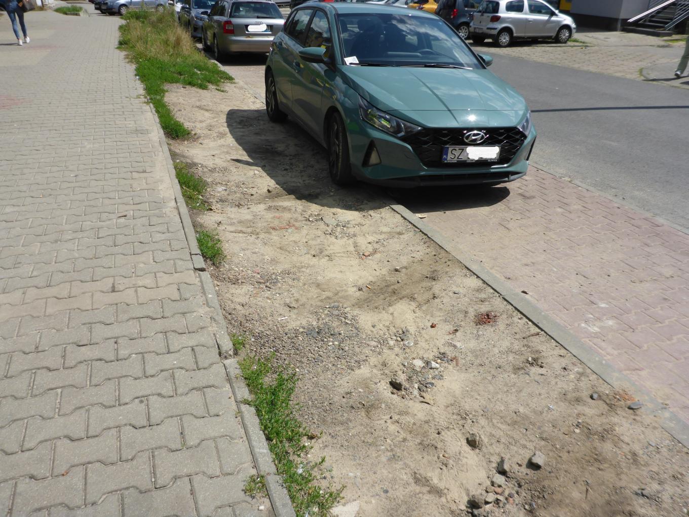 Czajki