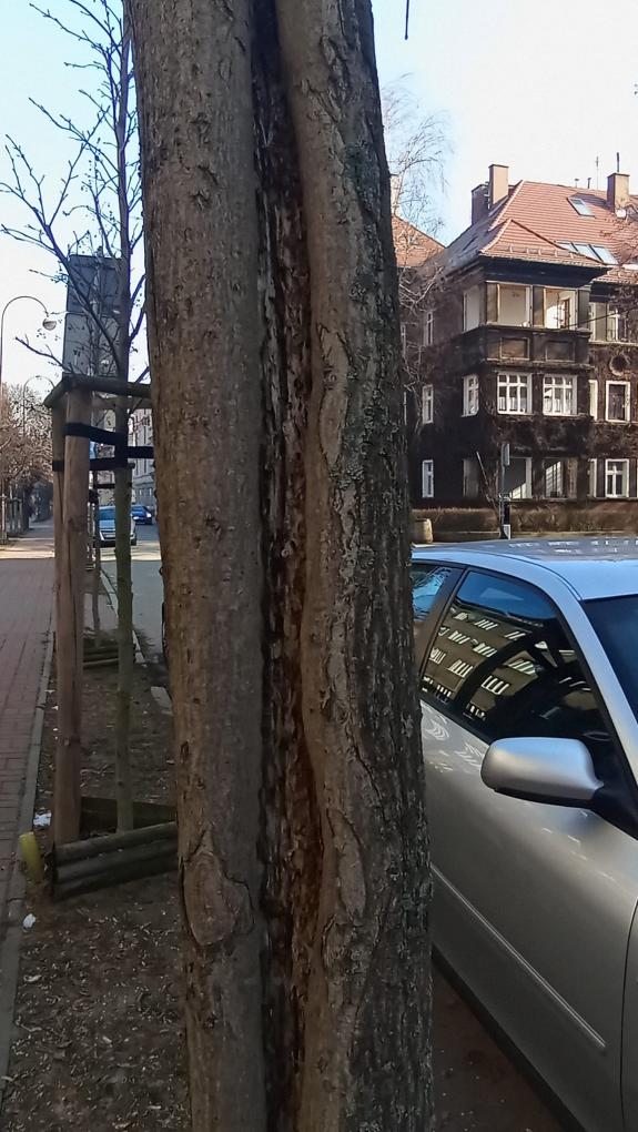 korfantego