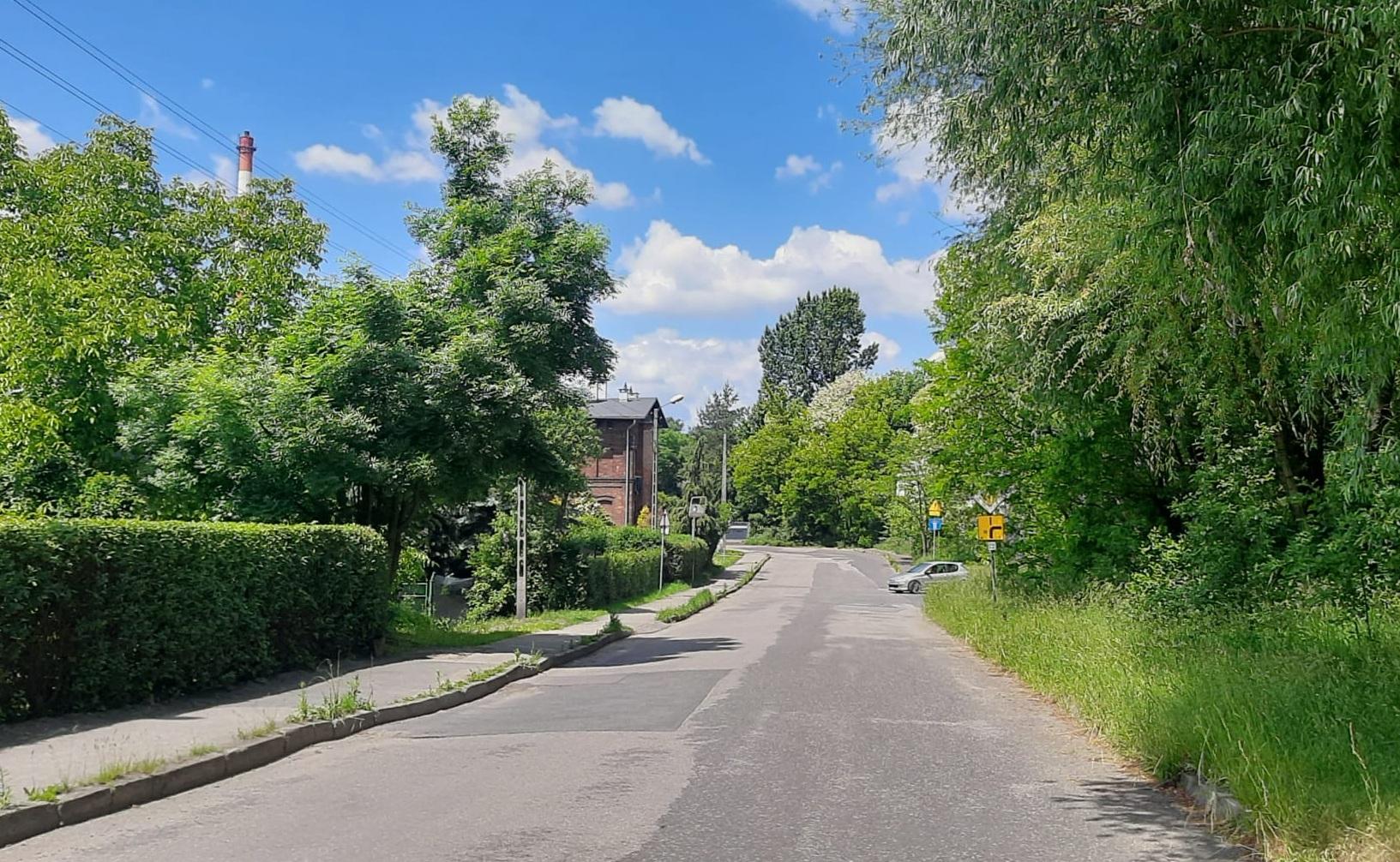 kasztanowa