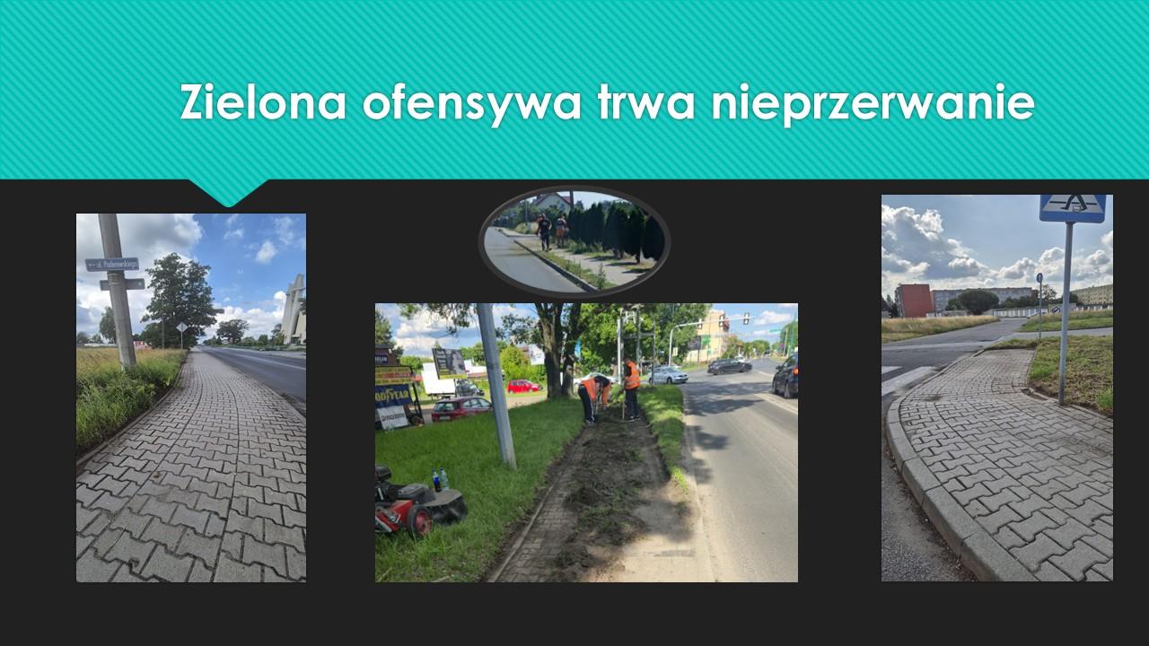 zielona ofensywa