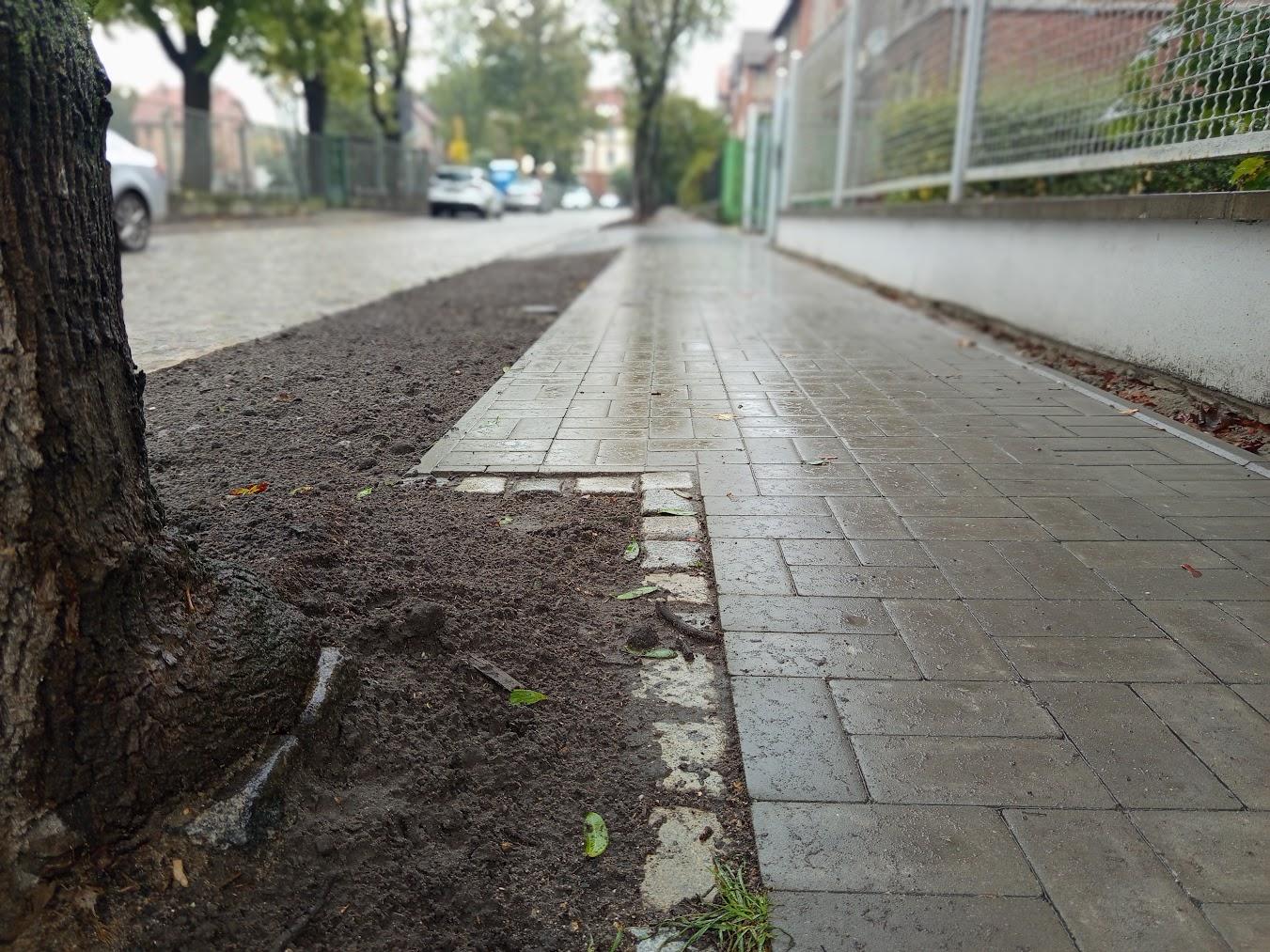 Bienka chodnik