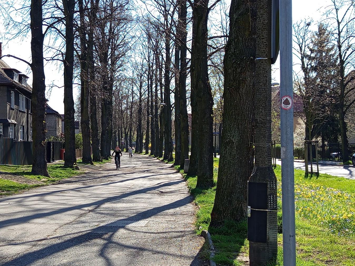 Jeszcze w tym tygodniu ruszy kolejny etap przebudowy ciągu pieszo-rowerowego na ul. Mickiewicza