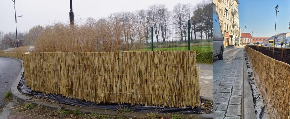 Zimowa ochrona zieleni w pasach drogowych Gliwic